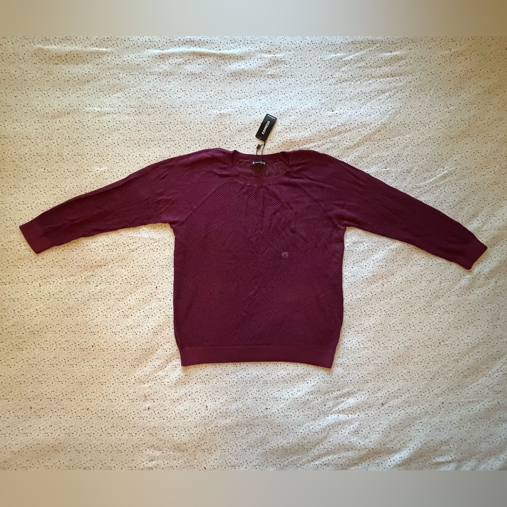 Express Burgundy Mesh Sweater